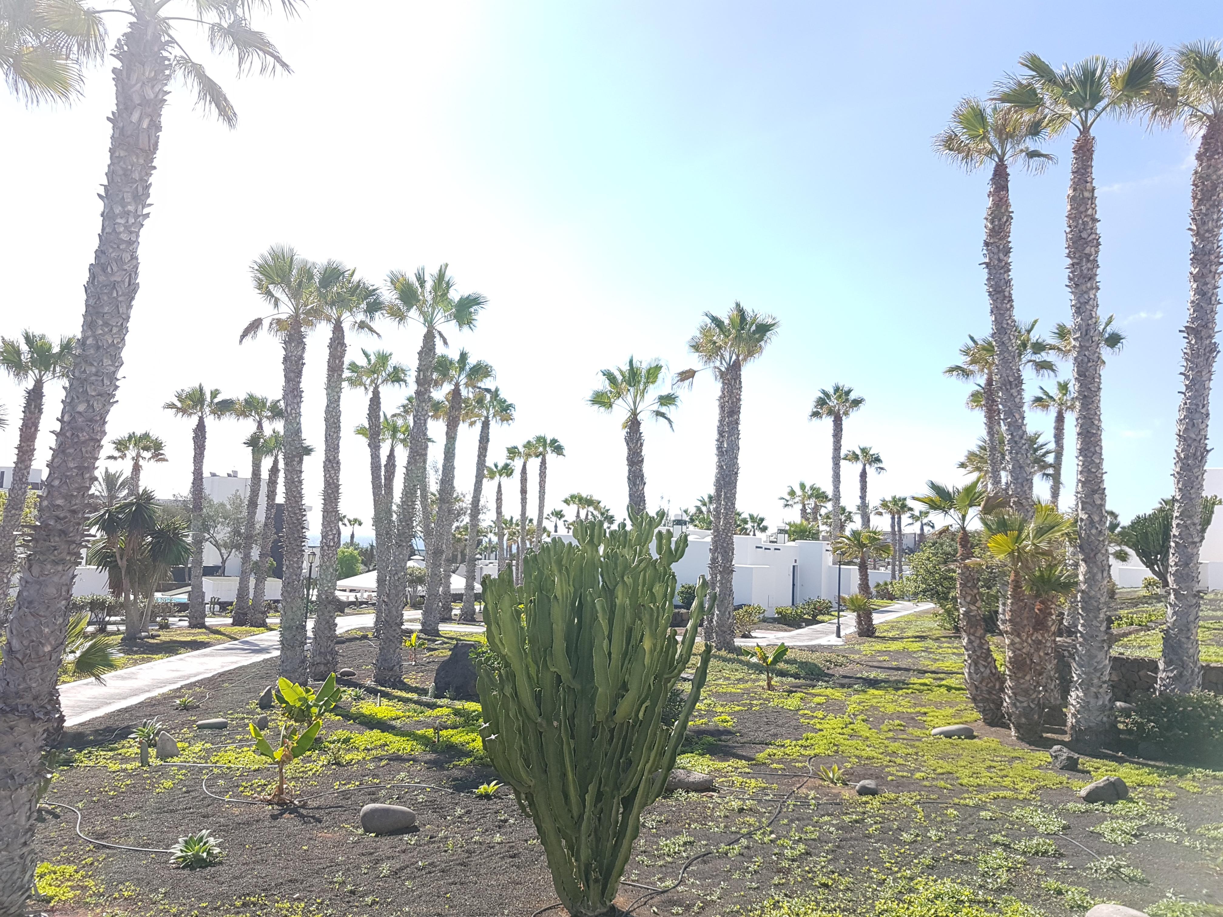 Palmeras Garden Playa Blanca  Kültér fotó