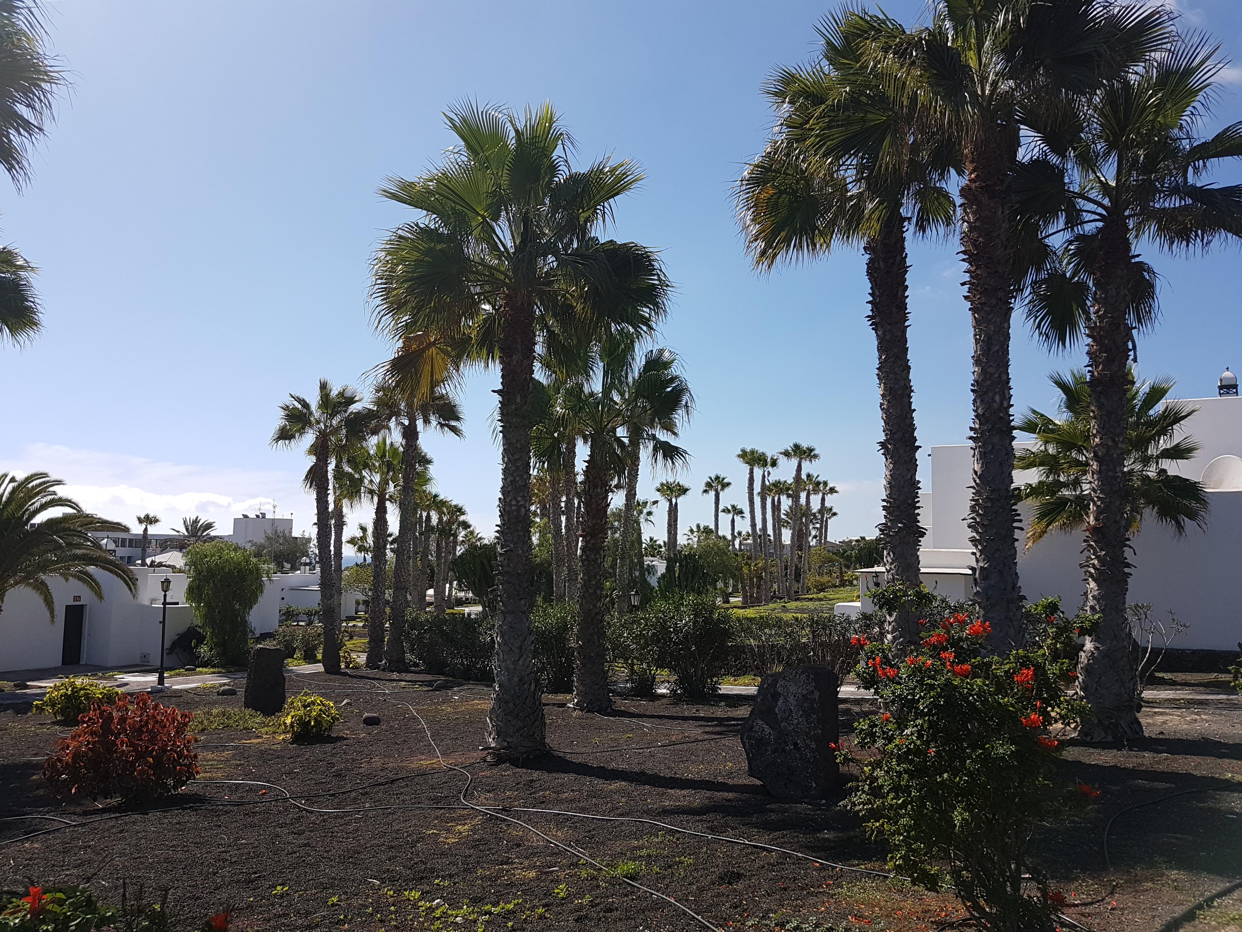 Palmeras Garden Playa Blanca  Kültér fotó