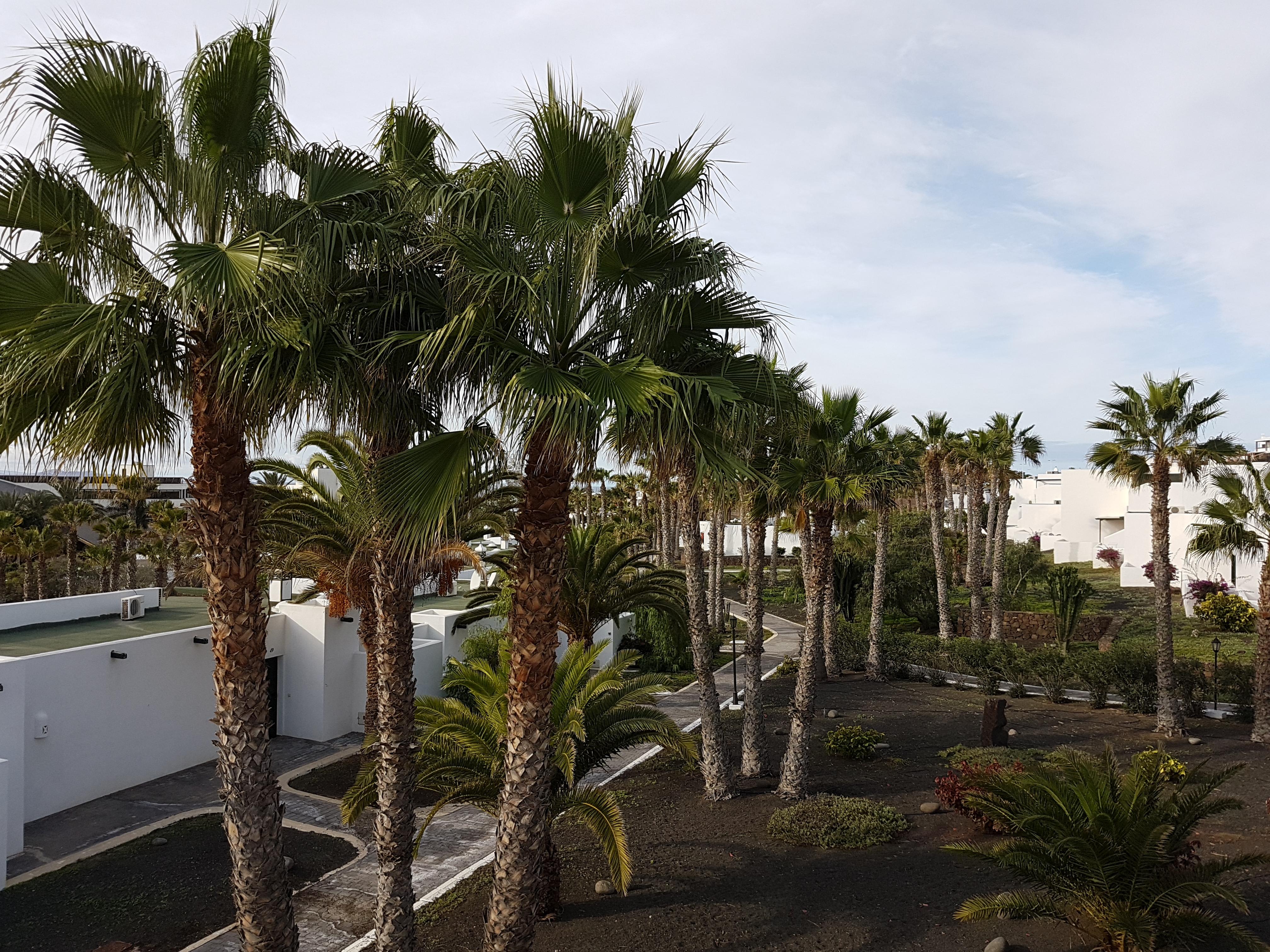 Palmeras Garden Playa Blanca  Kültér fotó